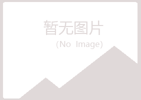 高密夏岚电讯有限公司